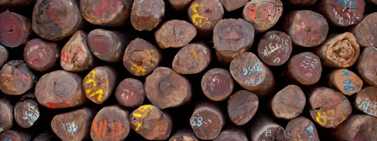 Understanding the Properties of Rosewood